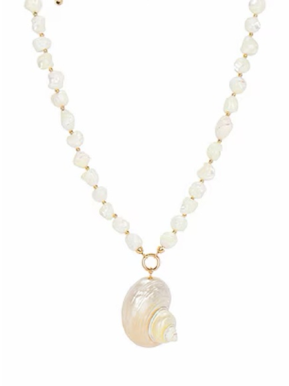 Sunken Treasure Shell Necklace in Gold